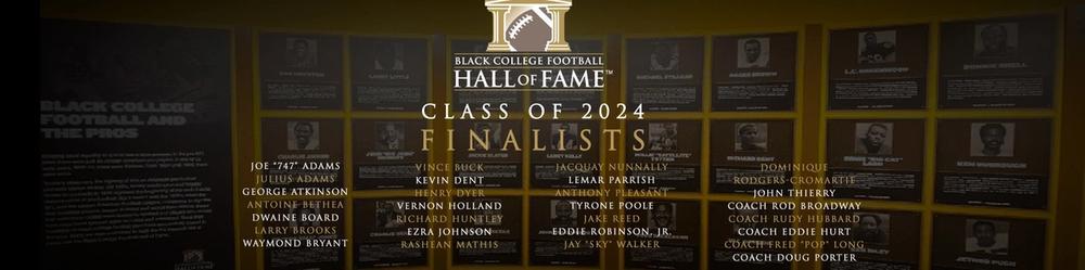 Cover Image for Class of 2024 Finalists